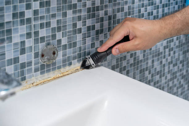 Best Insurance-Related Mold Remediation in Ashtabula, OH